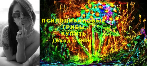 стаф Волосово