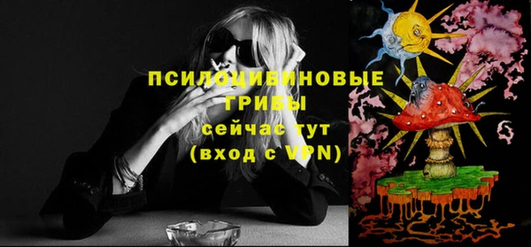 стаф Волосово